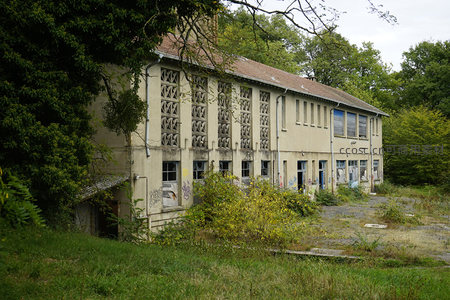 林间废弃厂房，岁月痕迹满墙