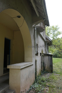 拱廊下的旧时光，藤蔓缠绕诉往昔