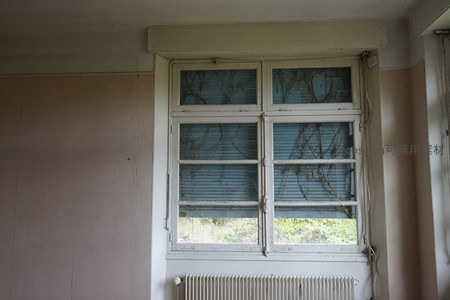 爬满藤蔓的复古窗棂