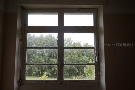 窗外绿树成荫的静谧窗景