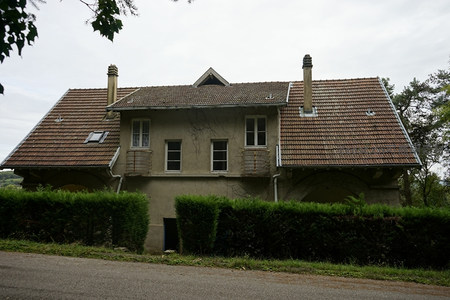 乡村老宅静谧伫立绿篱旁