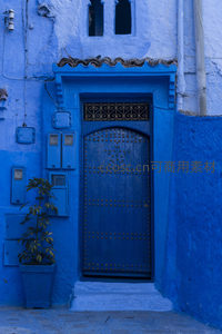 蓝城深处的典雅门廊，绿植点缀生活气息