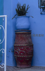 蓝墙前红陶罐绿植点缀