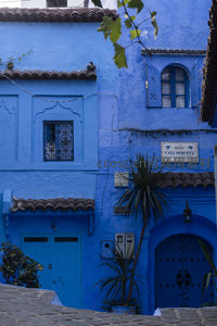 蓝色小镇的酒店门面与热带植物