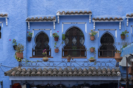 阳台花影摇曳，蓝色墙面下的生活诗意