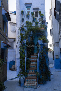 绿植环绕的蓝色门廊，充满生机的庭院入口