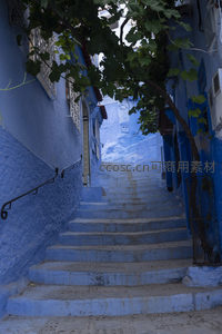蓝墙阶梯，绿叶掩映中的通幽小径