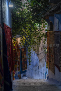 挂满地毯的蓝巷，藤蔓缠绕如画廊