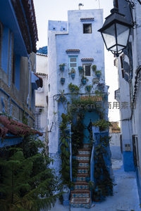 蓝白相间的摩洛哥舍夫沙万小巷