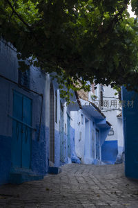 树荫下的舍夫沙万蓝色巷弄