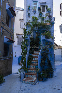 装饰繁茂的舍夫沙万蓝色楼梯入口