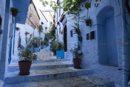 阶梯小径上的蓝白世界，盆栽与拱门营造诗意生活空间