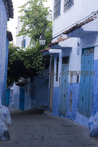 曲径通幽的蓝色迷宫，老街灯与绿树交织时光记忆