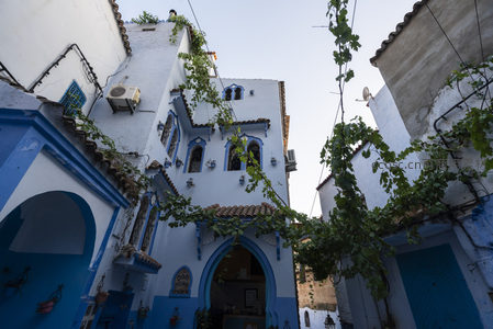 拱门藤蔓环绕古宅