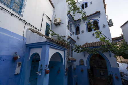 蓝白拱廊绿意盎然