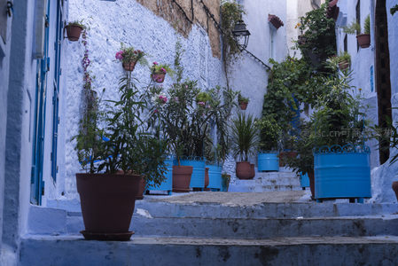 阶梯上的盆栽花园小径