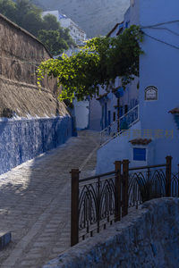 蓝墙小巷中的铁艺栏杆