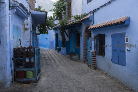 幽深蓝巷尽头的绿意与静谧