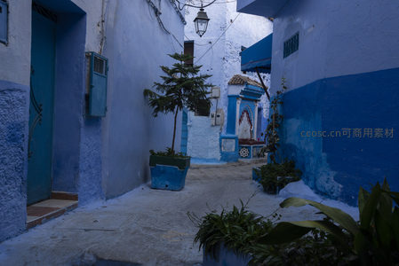 蓝调巷弄里的绿意，舍夫沙万街角的生机盎然