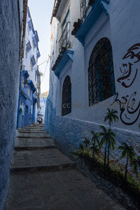 墙绘椰树与蓝色阶梯的舍夫沙万