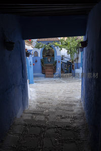 蓝色巷道深处的宁静庭院