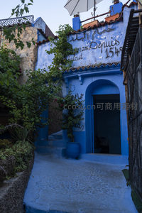 蓝墙小径旁的绿植与古老门廊，充满生活气息