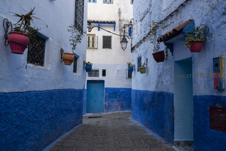 花盆点缀的蓝色弯巷
