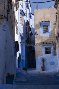 狭窄巷道中蓝色墙壁与陶盆绿植相映成趣