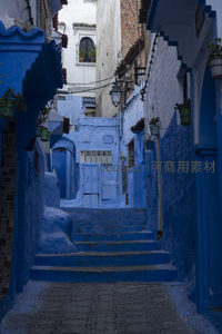 蓝色阶梯通向远方，盆栽点缀古巷