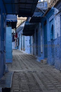 深巷中的蓝色世界