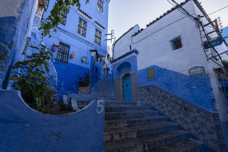 蓝白台阶上的彩色花盆与马赛克墙