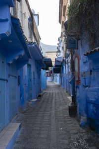蓝色小镇的宁静巷道