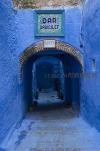 蓝色拱廊酒店入口，绿植点缀的欢迎之道