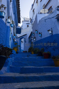 蓝墙花盆点缀，阶梯巷弄尽显生活诗意