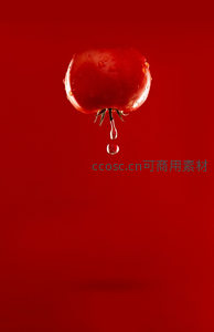 晶莹水滴从鲜红番茄上缓缓滑落