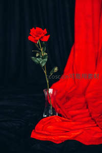 红玫瑰静置于黑幕前，旁衬鲜红绸缎