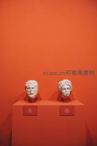 博物馆展柜中的古典雕塑头像特写