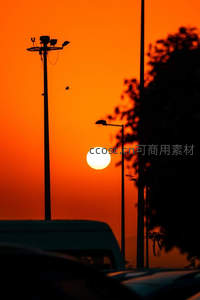橙色夕阳下路灯与飞鸟剪影