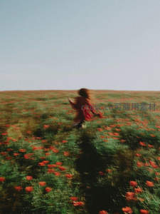 红衣少女奔跑于罂粟花海中
