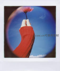 手举花朵仰望蓝天的宝丽来风格