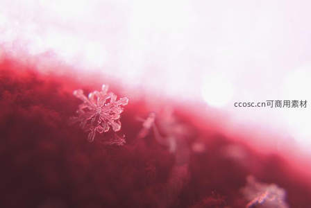 微距下晶莹剔透的雪花晶体