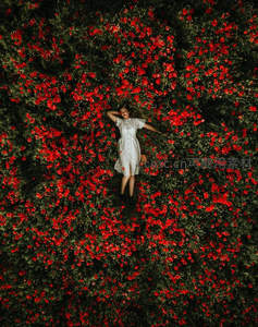 航拍视角下花海中休憩的少女