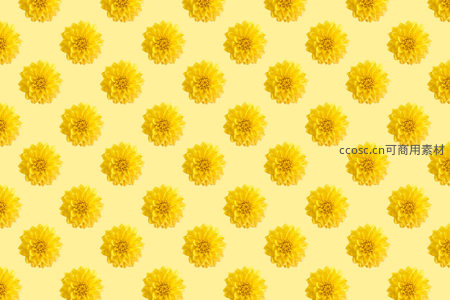 黄色花朵规律排列的平面图案背景