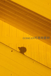 阳光下黄色墙面投射的人影剪影艺术