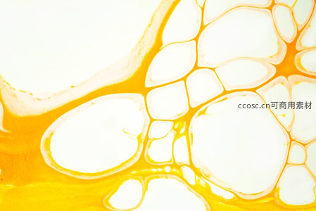 橙白交融的抽象液体纹理特写