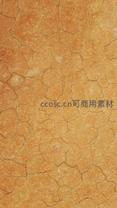 干裂大地纹理，自然的沧桑印记