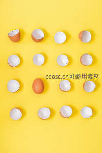 蛋壳与完整鸡蛋的创意排列艺术