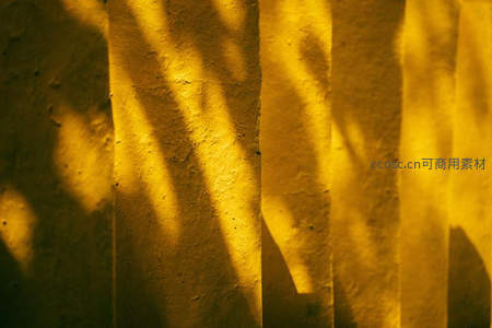 阳光穿透树叶的光影