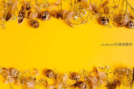黄色背景上下边缘装饰羽毛与鹌鹑蛋