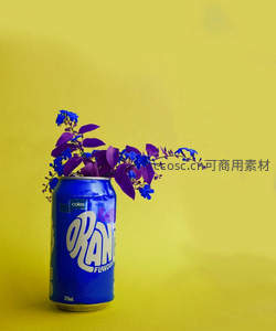 蓝罐中的紫色小花，创意与色彩的奇妙碰撞